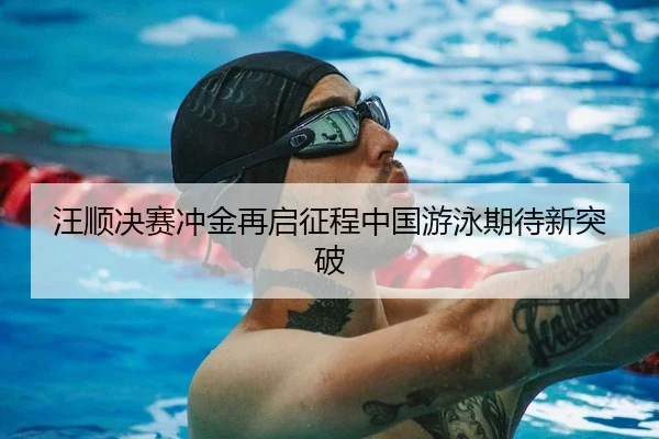 汪顺决赛冲金再启征程中国游泳期待新突破