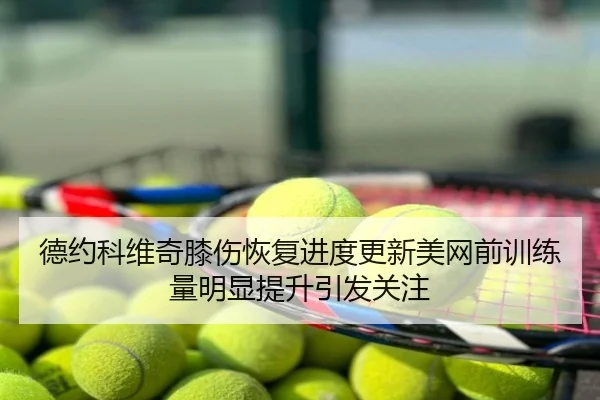 德约科维奇膝伤恢复进度更新美网前训练量明显提升引发关注