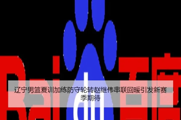 辽宁男篮夏训加练防守轮转赵继伟串联回暖引发新赛季期待