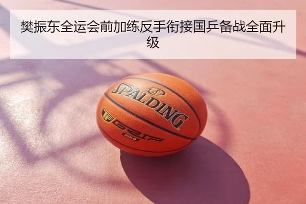 樊振东全运会前加练反手衔接国乒备战全面升级